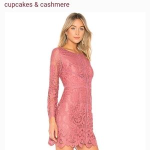NWT Cupcakes and Cashmere Makenna Fitted Lace Dres